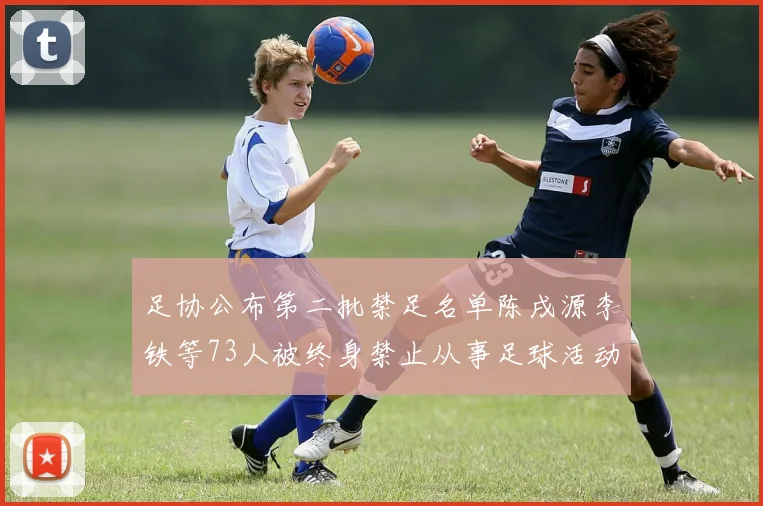 足协公布第二批禁足名单陈戌源李铁等73人被终身禁止从事足球活动